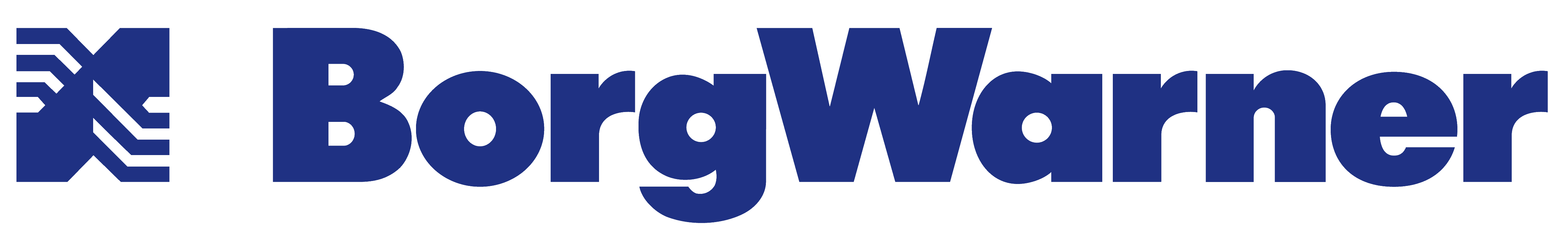 BORGWARNER logo