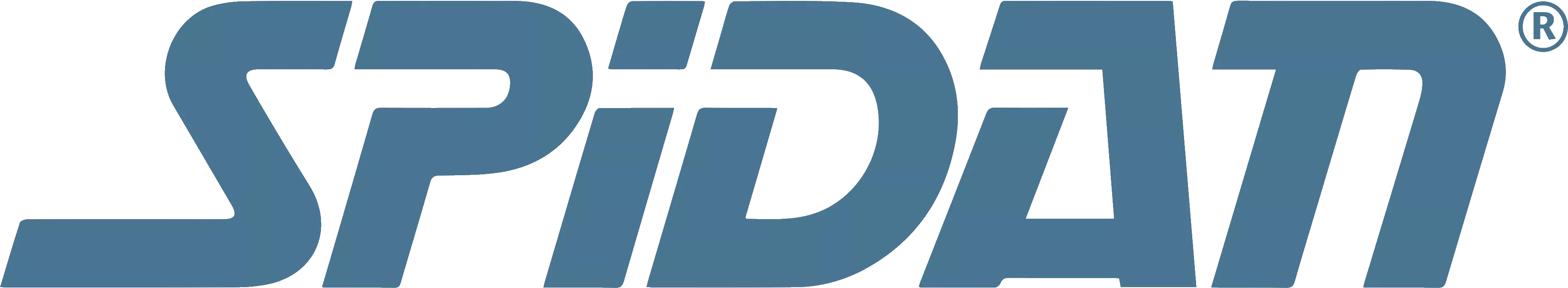 SPIDAN logo